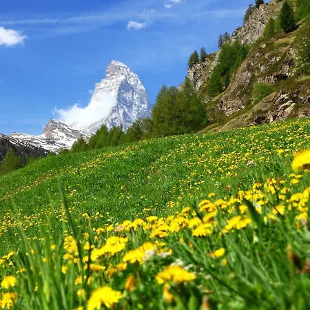 A-3 By Interhome Apartament Zermatt